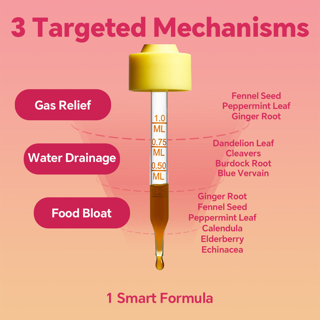 LeeFar Cutting Drops – Lymphatic-Focused Debloat Formula – Mango Dragonfruit – 30 Servings